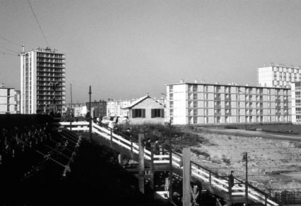 Sarcelles Caillou Tendre