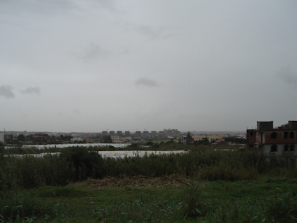 DSC04300